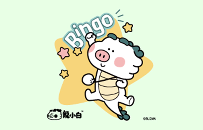 龙小白