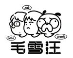 综艺IP《毛雪汪》