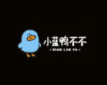 小蓝鸭