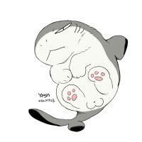 鲨猫Sharkitty